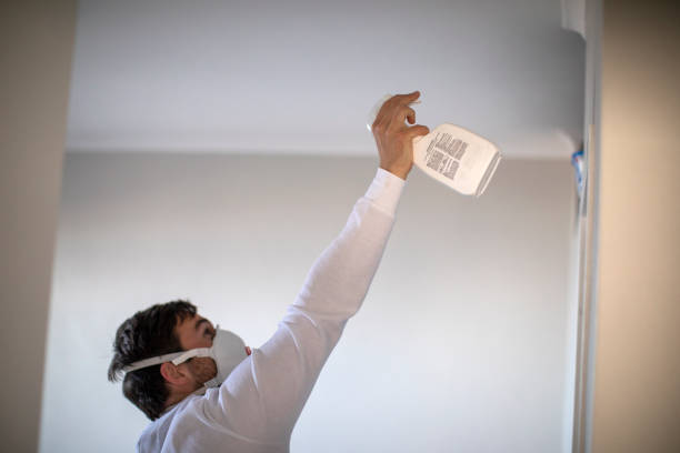 Best Mold Remediation  in Berryville, TX