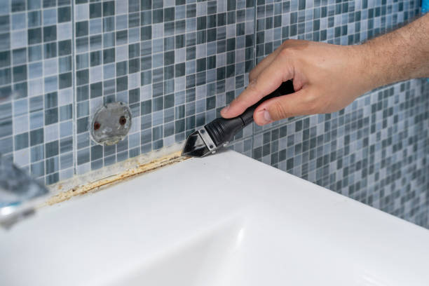 Mold Testing and Removal in Berryville, TX